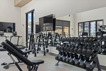 Rack of dumbbells